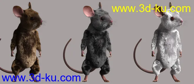 Storybook Mouse for Genesis 8.1 Males模型的图片7