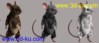 3D打印模型Storybook Mouse for Genesis 8.1 Males的图片