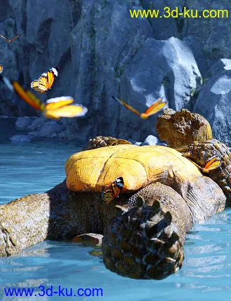 3D打印模型Storybook Turtle HD for Genesis 8.1 Males的图片