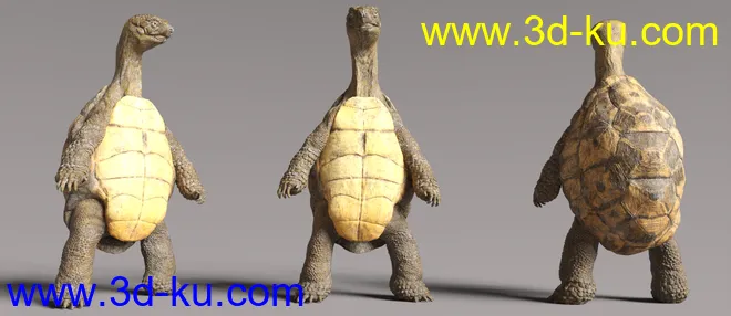 Storybook Turtle HD for Genesis 8.1 Males模型的图片4