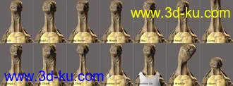 3D打印模型Storybook Turtle HD for Genesis 8.1 Males的图片