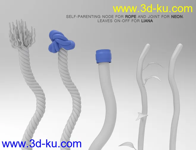 STRINGS模型的图片6