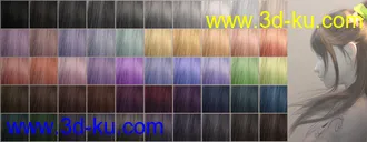 3D打印模型Sue Yee Half Shawl Long Hair for Genesis 8 and 8.1 Females的图片