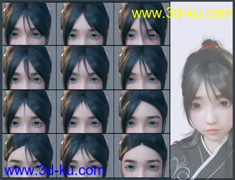 3D打印模型Sue Yee Half Shawl Long Hair for Genesis 8 and 8.1 Females的图片