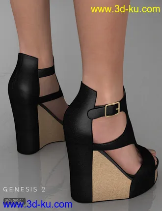 3D打印模型Summer Wedges for Genesis 2 Female(s)的图片