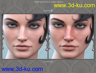 3D打印模型Sun-kissed Facial Freckles for Genesis 3, 8 and 8.1 Females的图片