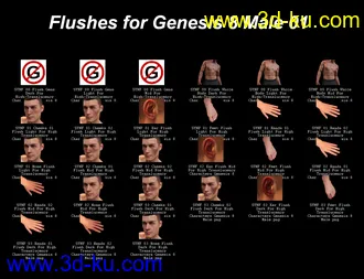 3D打印模型SY Naturally Flushed Genesis 8的图片