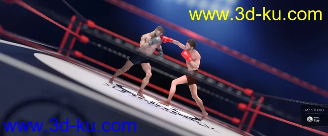 The Fighting Ring模型的图片3