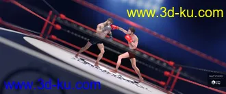 3D打印模型The Fighting Ring的图片