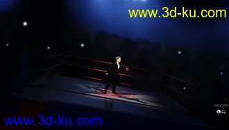 3D打印模型The Fighting Ring的图片