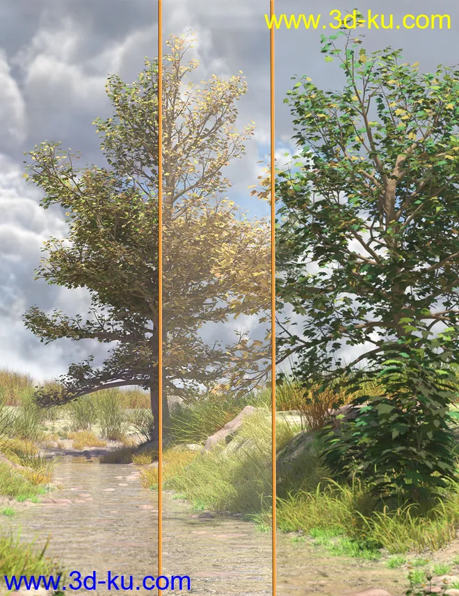 The Greenwood Vol 1 Sycamore Trees模型的图片1