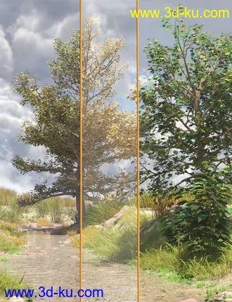 3D打印模型The Greenwood Vol 1 Sycamore Trees的图片