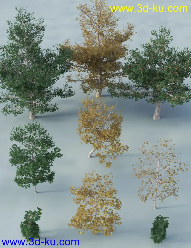 The Greenwood Vol 1 Sycamore Trees模型的图片6