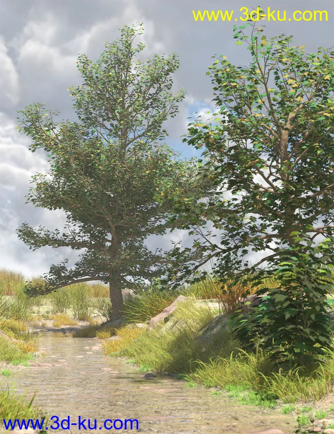 The Greenwood Vol 1 Sycamore Trees模型的图片8