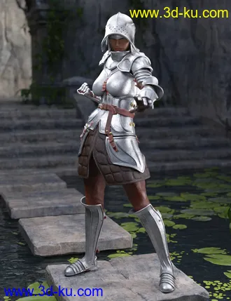 3D打印模型The Western Knight Series 05 for Genesis 8 Females的图片