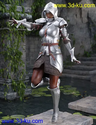 3D打印模型The Western Knight Series 05 for Genesis 8 Females的图片
