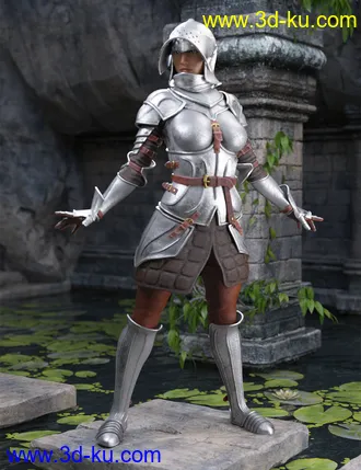 3D打印模型The Western Knight Series 05 for Genesis 8 Females的图片