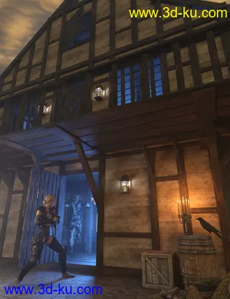 3D打印模型Timber Framed Houses 1的图片