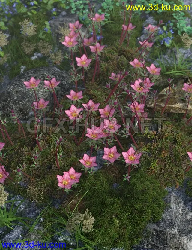 Tiny Plants - Mossy Saxifrage模型的图片1