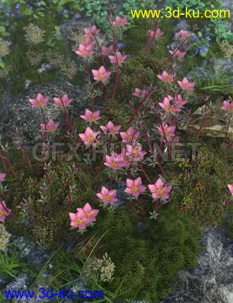 3D打印模型Tiny Plants - Mossy Saxifrage的图片