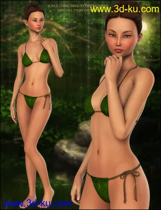 3D打印模型Tylwen的图片