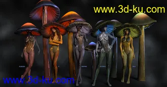 3D打印模型Vaispora HD for Genesis 8.1 Female的图片