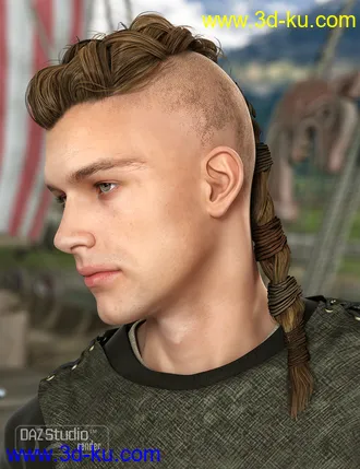 3D打印模型Viking Male Hair for Genesis and Genesis 2 Male(s)的图片