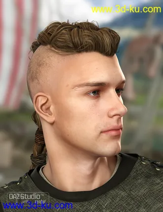 3D打印模型Viking Male Hair for Genesis and Genesis 2 Male(s)的图片