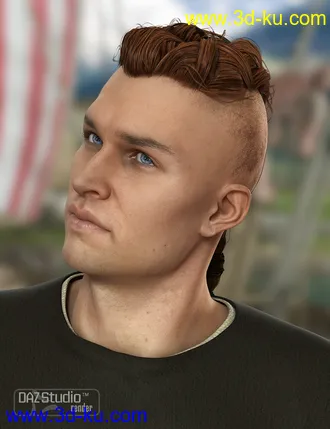 3D打印模型Viking Male Hair for Genesis and Genesis 2 Male(s)的图片