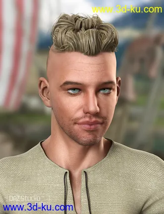 3D打印模型Viking Male Hair for Genesis and Genesis 2 Male(s)的图片