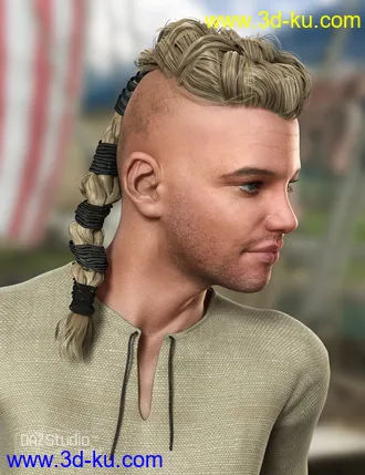 3D打印模型Viking Male Hair for Genesis and Genesis 2 Male(s)的图片