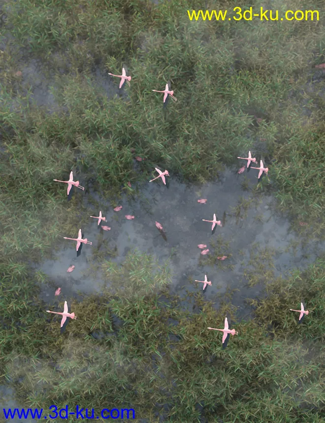 Wetlands Low Res Plants for Vol 1 - Reedbeds模型的图片1