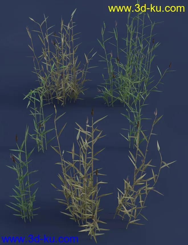 Wetlands Low Res Plants for Vol 1 - Reedbeds模型的图片5