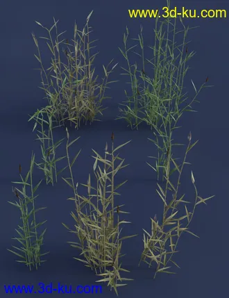 3D打印模型Wetlands Low Res Plants for Vol 1 - Reedbeds的图片