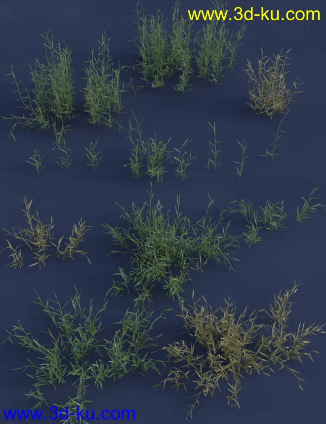 Wetlands Low Res Plants for Vol 1 - Reedbeds模型的图片7
