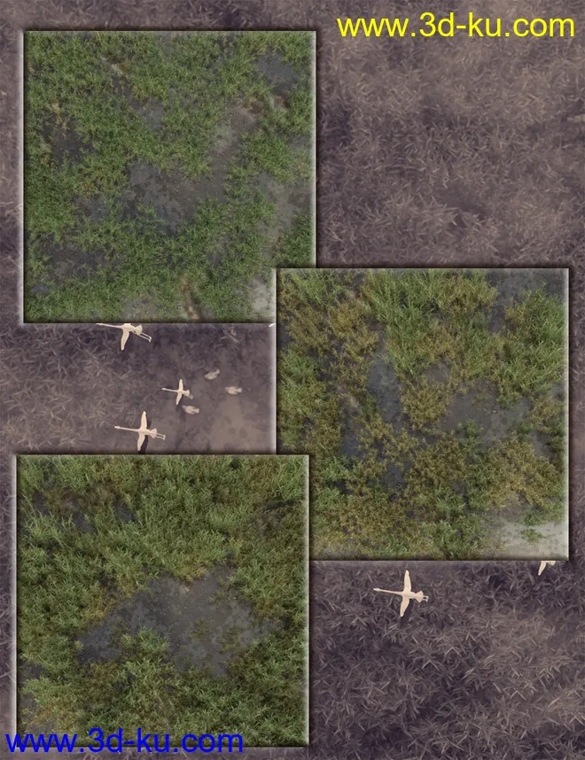 Wetlands Low Res Plants for Vol 1 - Reedbeds模型的图片9