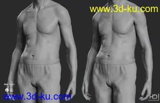 3D打印模型Wolfgang 8.1 HD Add-On的图片