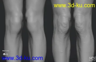 3D打印模型Wolfgang 8.1 HD Add-On的图片
