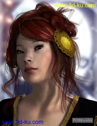 3D打印模型Xinxue Hair的图片