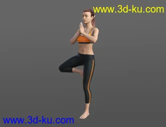 3D打印模型Yoga Animations for Genesis 8的图片