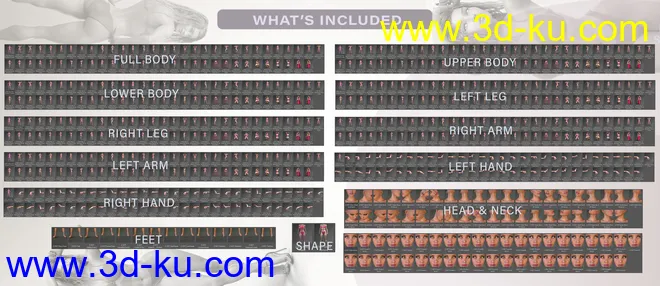 Z Beautifully Strong Shape and Pose Mega Set模型的图片8
