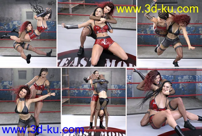 Z Fierce Combat Couple Poses for Genesis 8 and 8.1 Female模型的图片4
