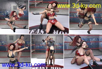 3D打印模型Z Fierce Combat Couple Poses for Genesis 8 and 8.1 Female的图片