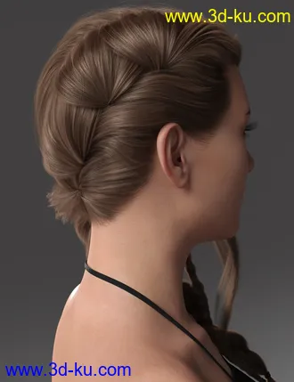 3D打印模型2021-14 Hair for Genesis 8 and 8.1 Females的图片