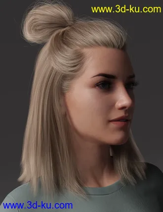 3D打印模型2021-15 Hair for Genesis 8 and 8.1 Females的图片