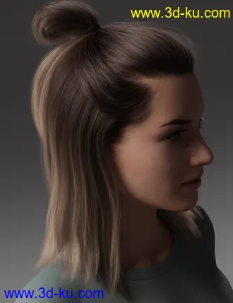 3D打印模型2021-15 Hair for Genesis 8 and 8.1 Females的图片