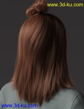 3D打印模型2021-15 Hair for Genesis 8 and 8.1 Females的图片