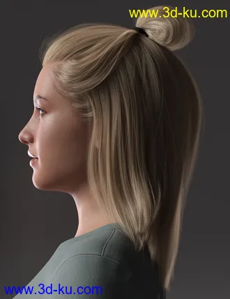3D打印模型2021-15 Hair for Genesis 8 and 8.1 Females的图片