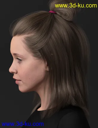 3D打印模型2021-15 Hair for Genesis 8 and 8.1 Females的图片