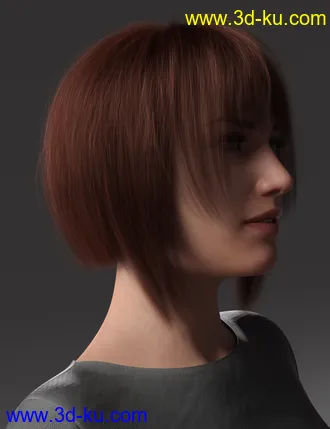2021-16 Hair for Genesis 8 and 8.1 Females模型的图片5